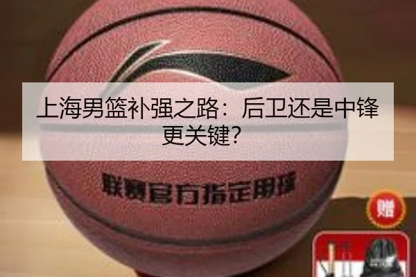 上海男篮补强之路：后卫还是中锋更关键？
